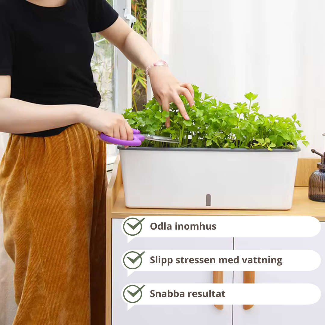 Självvattnande Blomkrukor