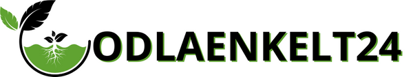 Odlaenkelt24